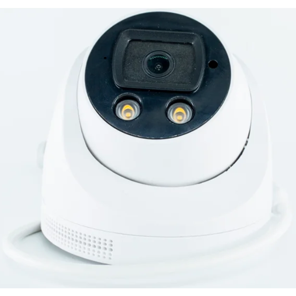 BLUEMASTER BM-443AHD 2MP 2.8MM WARMLED GECE RENKLİ AHD DOME KAMERA